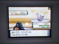 ??? vs ?? - Pokemon DP Wi-Fi battle movie ??? vs ?? - Pokemon DP Wi-Fi battle movie