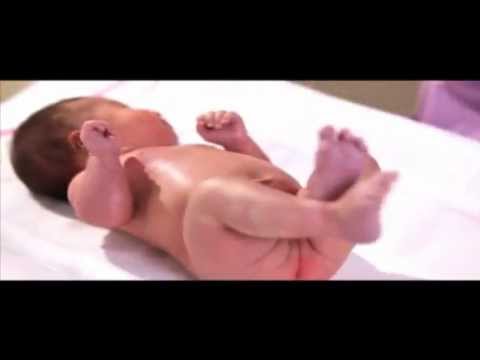 rectal temperature