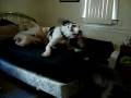 100_0037.mov