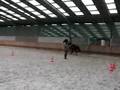 CASSANDRE MATTON FAIT DU CHEVAL