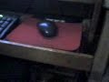 El fantasma del raton