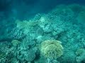 Sharm EL Naga (Hurghada) Sharm EL Naga (Hurghada)