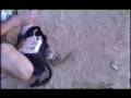 (Video) Don’t Feed the Squirrels