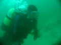 Sea Beasts at the Smethwick Buoy