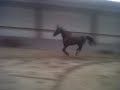 See Video