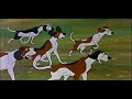 View Haloo - Mary Poppins
