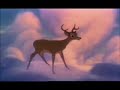 faline-and-bambi-far-longer-than-forever.html