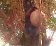 sol futbol sin balon 3