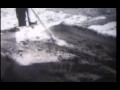 jasenovac pavilec stepinac croatia ustasha hitler catholic