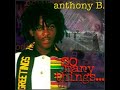 Anthony b & King David-Zagga Zow