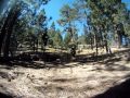 Mt Pinos - Kyle jumps