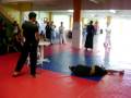videos de demonstração de artes marciais- aikido