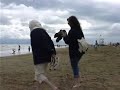A day at the  beach