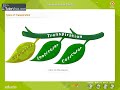 Transpiration In Pla
