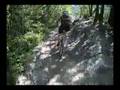 Canyon Creek Mountain Biking, Golden BC