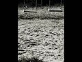 alexandru andries - tacerile din piept alexandru andries - tacerile din piept