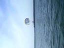MY Spring Break - Parasailing!