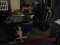 Kitty yo-yo