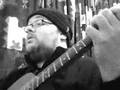 passing afternoon - iron & wine (sam beam)