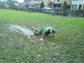 peel mudslide