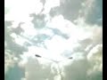 Sky dog eyes view