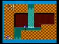 playing the oringinal sonic game