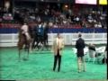 Front and Center Louisville edit.mov