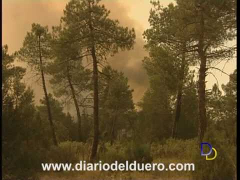 Imagen de previsualización de YouTube