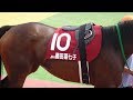 【４Ｋ現地撮影】２０１９年８月１２日盛岡競馬７ＲヤングジョッキーズＴＲ第１戦藤田菜七子騎手１１着