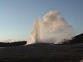 World Bites #10: Yellowstone Bison & Old Faithful
