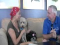 Super Agressive Dog comes from Canada to South Beach Miami to train with The Miami Dog Whisperer