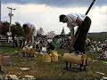2001 Morgantown, WV Milan, NH Timbersports 2001 Morgantown, WV Milan, NH Timbersports