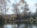 Blue Heron Encounter_0001.wmv