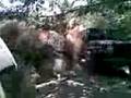 videos de 01062008(001).3gp