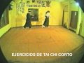 TAI CHI CORTO JOSE KNAPHAIS.mpg