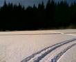 arctic cat f7