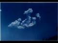 Miracles  of ALLAH cc 