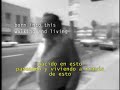 Dinosauria, we (spanish subtitles)