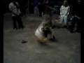 BBoy Goofy eats Pizza.....doin windmills!!