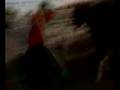 videos de damion