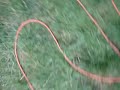 Extension Cords