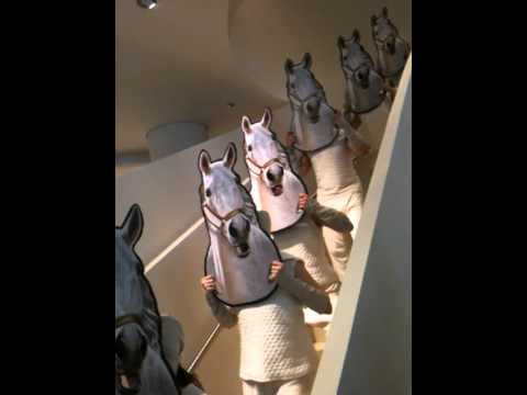 horses grand national