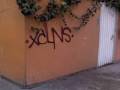 xClNs aQuElla ChIcA