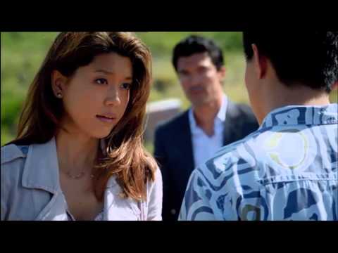 Hawaii 5-0 season 3 finale - My Immortal