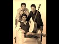 koma BIRA ® live Halay (Baranê) koma BIRA ® live Halay (Baranê)