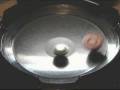 videos de Venusian G Vs Draciel MBD - KeiTomita Request (3/3)