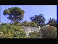 genova nervi