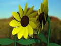 Another Bloomin\ Another Bloomin\