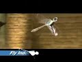RC Dragonfly
