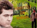 Sultanbeyli'li Cengiz'ci Mesut Ve Ferhat
